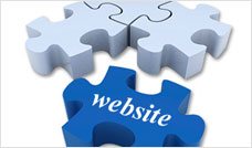 Customizable website design