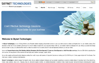 Website Design in India